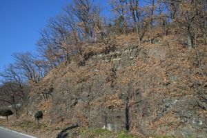 군위군 의흥면 수북리 산성가음로 도로변 노두