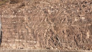 의성군 사곡면 신감리와 옥산면 감계리의 경계에 위치한 고개 정상부 지방도 제912호선 도로변에 드러난 사곡층의 노두.