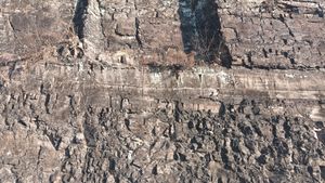 의성군 사곡면 양지리 구눌저수지 동측 도로변 사곡층 노두 3