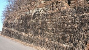 의성군 사곡면 양지리 구눌저수지 동측 도로변 사곡층 노두 4