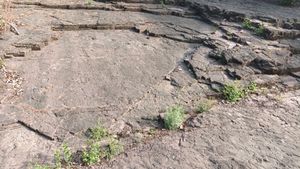 화석이 있는 사곡층 노두