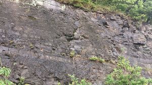 표식지 안동시 일직면 국곡리 지방도 제914호선 도로변의 일직층 노두