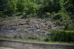안동시 남후면 고상리 중앙고속도로 도로변의 일직층 노두