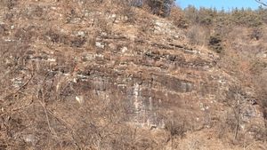 의성군 단촌면 관덕리 미천 하천변의 일직층 노두 (북위 36° 25′ 39.4″ 동경 128° 40′ 40.1″ )