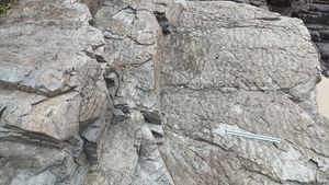 장목리층 노두에 발달한 선명한 연흔 구조