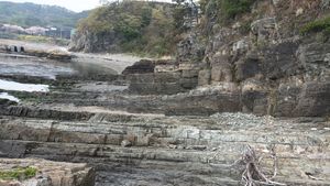 장목리층 해안 노두 전경