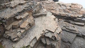 장목리층 노두에 발달한 선명한 연흔 구조