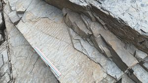 장목리층 노두에 발달한 선명한 연흔 구조