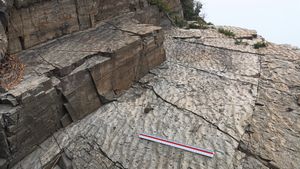 거제시 장목면 송진포리 남부 해안의 장목리층 노두