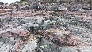 자색층과 회색층의 교호