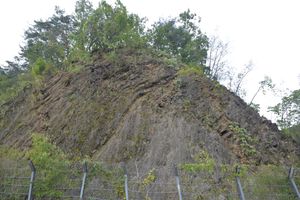 안동시 예안면 계곡리 산 55-9 지점