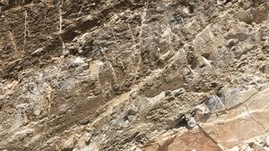 제천시의 서창리층