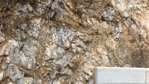 제천시의 서창리층