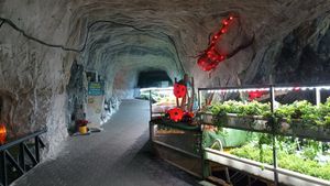 식물을 키우는 동굴농원