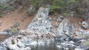 선캄브리아기 홍제사 화강암과 캄브리아기 조선 누층군 장산 규암층/면산층과의 부정합 경계 (꽃이 있는 곳부터 조선 누층군)()