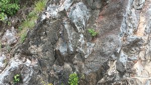 남애 단면의 와곡층