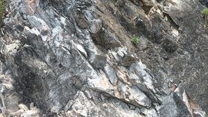 남애 단면의 와곡층