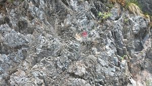 남애 단면의 와곡층