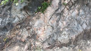 남애 단면의 와곡층