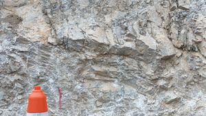 제천시 청풍면 황석리 지방도 제532호선 도로변의 흥월리 돌로마이트층