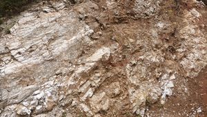 제천시 청풍면 황석리 지방도 제532호선 도로변의 흥월리 돌로마이트층