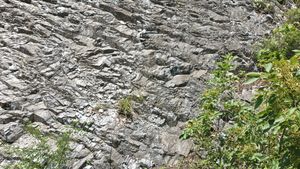 제천시 청풍면 황석리/사오리 지방도 제532호선 도로변의 흥월리 돌로마이트층