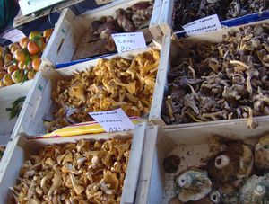 버섯, 모르간 광장 시장