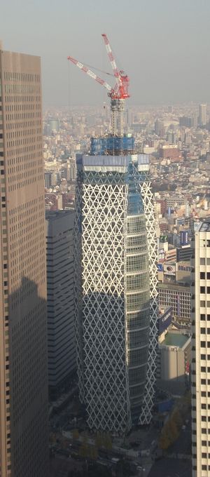 2007년 12월 (도쿄도청 전망대에서)