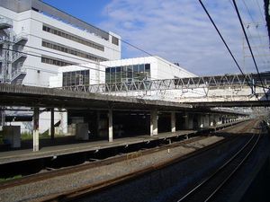 홈 전경. 앞쪽 선로 2개가 도카이도선, 사진 오른쪽 뒤가 요코하마 방면, 왼쪽 앞이 오후나 방면 (2004년 11월)