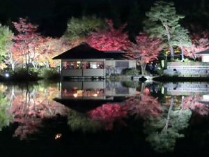 가을 밤 산책으로 라이트 업되는 일본 정원