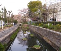 미누마다이 신스이 공원 (2008년 4월)