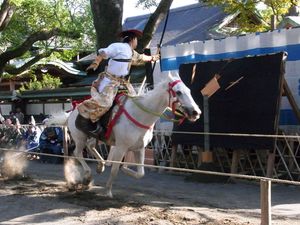 야부사메(2010년 10월 촬영)