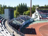 원정 서포터 응원석. 통칭 "데지마"