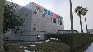 애칭은 고토 쓰바키 공항(2020년)