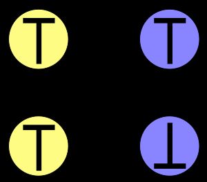 이 사영도 중앙의 교차점은 제거 가능한 교점이다. 아래 그림처럼 간단히 제거할 수 있다.