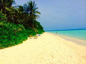 비야두 섬(Biyaadhoo) 해변, 2014년
