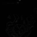 CT로 촬영한 사람 몸통. 복부에서 등쪽으로 관상면을 연속적으로 표시하고 있다. 폐, 심장, 척추 등이 보인다.