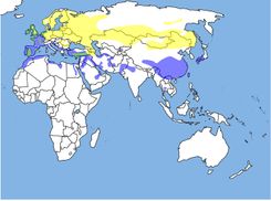 댕기물떼새의 분포번식지연중 서식지월동지