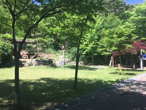 도서관 옥외 뒷쪽 벤치