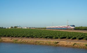 트레이시-래스롭/만테카 구간의 알타몬트 코리더 익스프레스