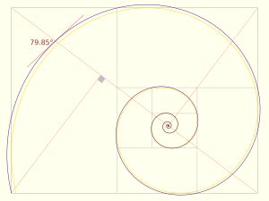 서로 다른 초기 반경을 가진 두 개의 플라스틱 나선