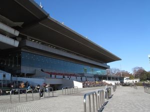 크리스탈 코너 스탠드