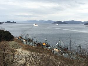 언덕에 올려진 폐선 트롤선