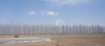 겨울의 화베이 평원