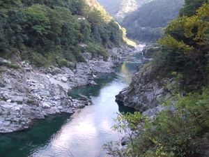 요시노강의 오보케