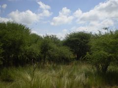 루로 공원 자연 보호 구역