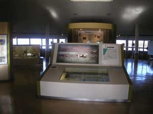 오사카 난코 야생 조류원