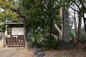 이리미 조개 껍데기 유적