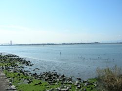 후지마에 간석지