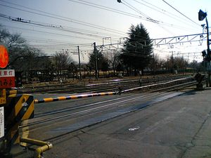 미야타 앞 건널목